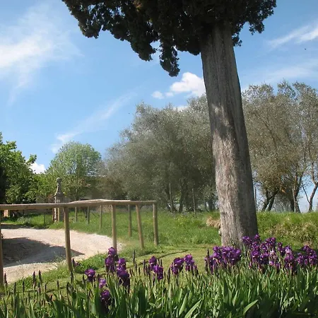 Vecchia Casa *